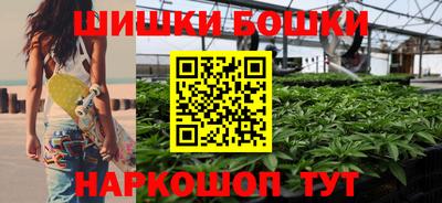 крисы Заводоуковск